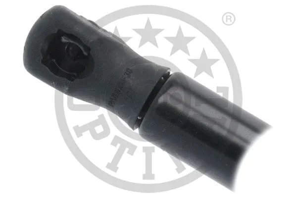 Gas Spring, boot/cargo area