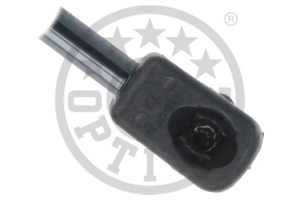 Gas Spring, boot/cargo area