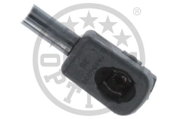 Gas Spring, boot/cargo area