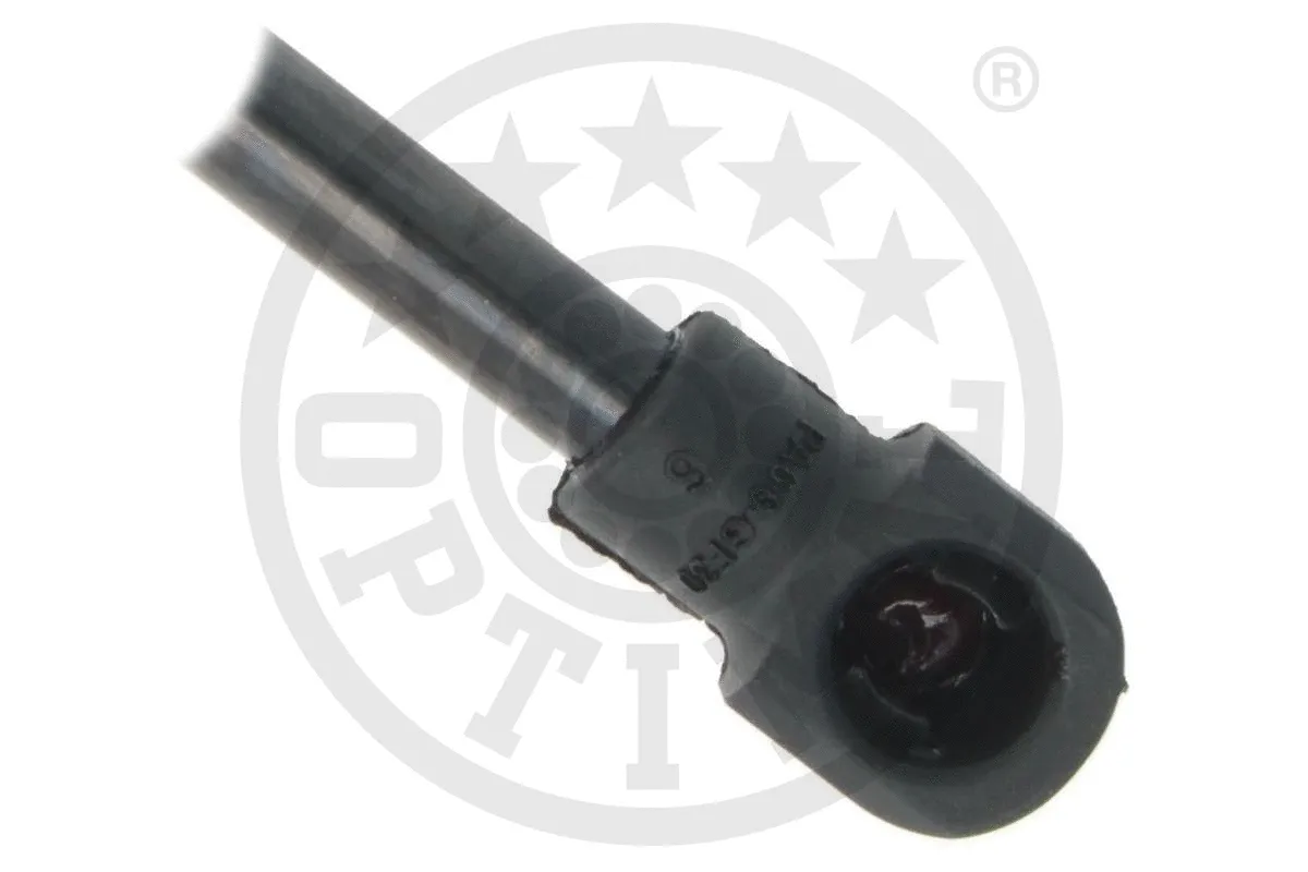 Gas Spring, boot/cargo area