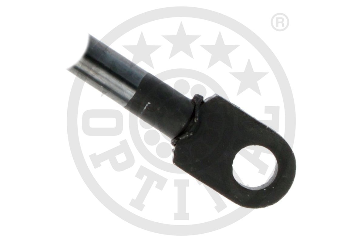 Gas Spring, boot/cargo area