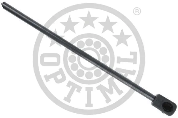 Gas Spring, boot/cargo area