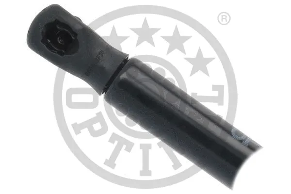 Gas Spring, boot/cargo area