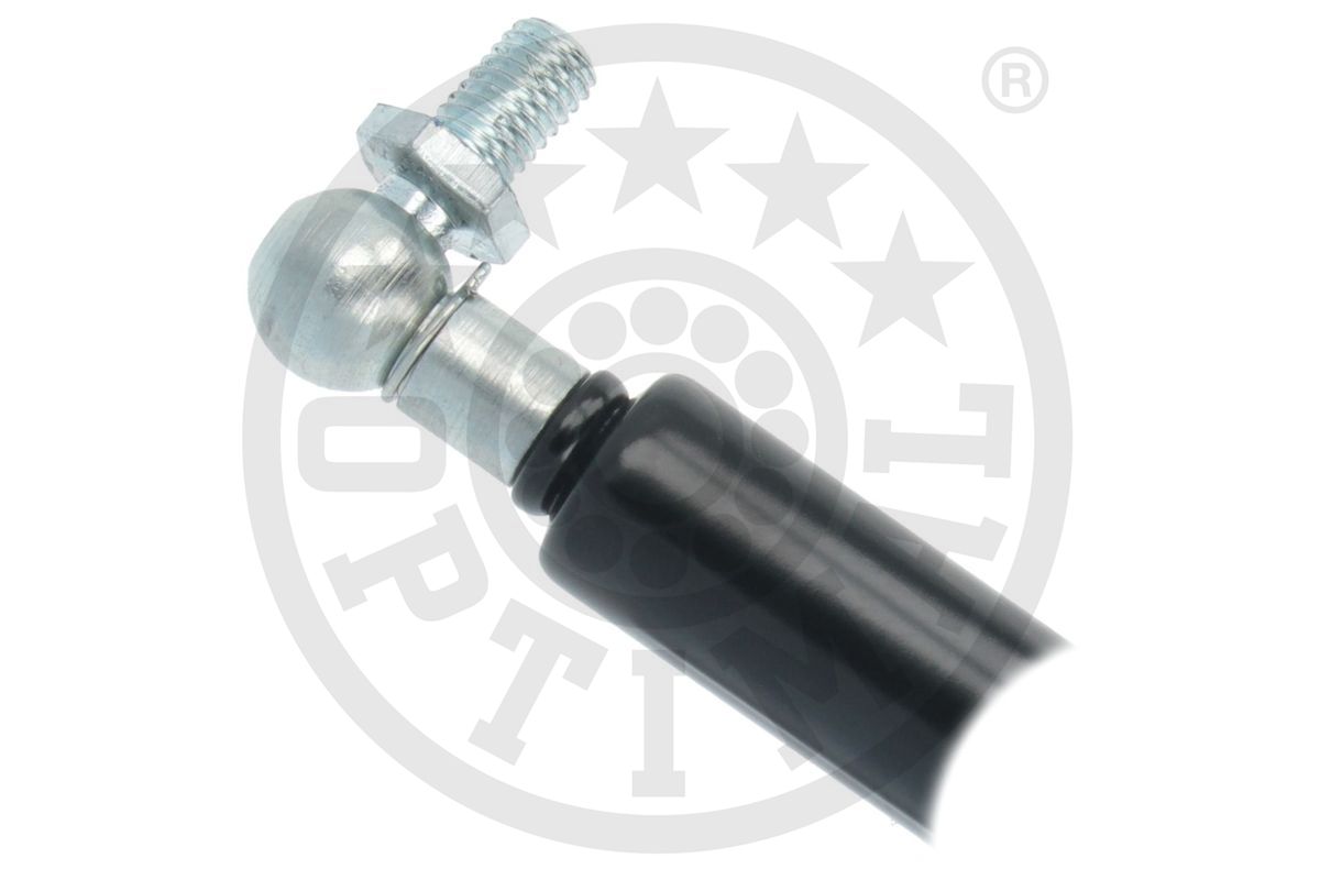 Gas Spring, boot/cargo area