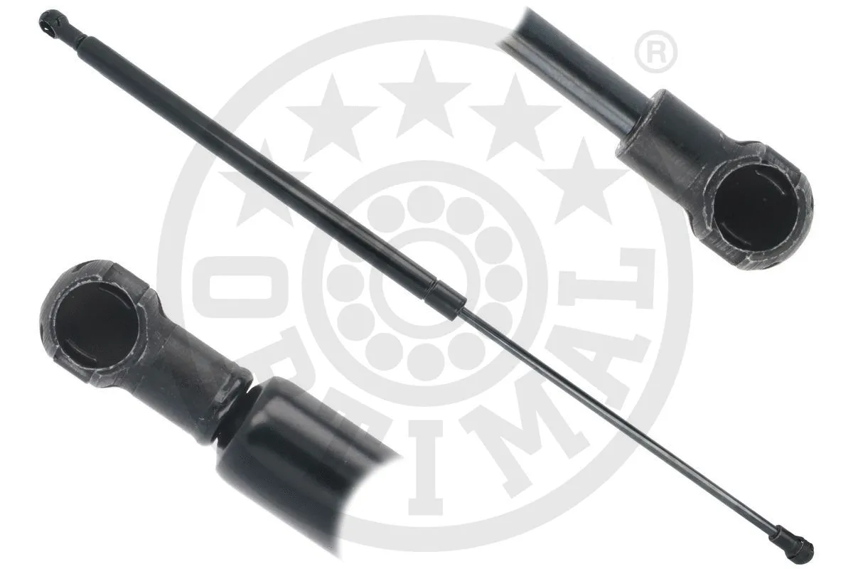 Gas Spring, boot/cargo area (AG-52261)