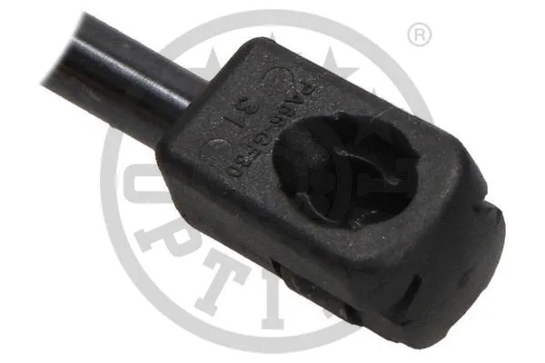 Gas Spring, boot/cargo area