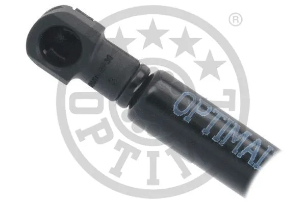 Gas Spring, boot/cargo area