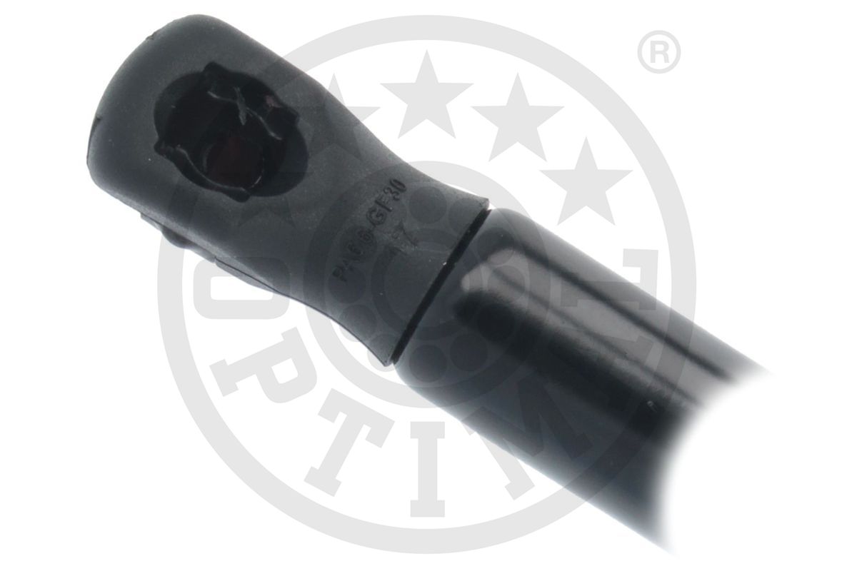 Gas Spring, boot/cargo area
