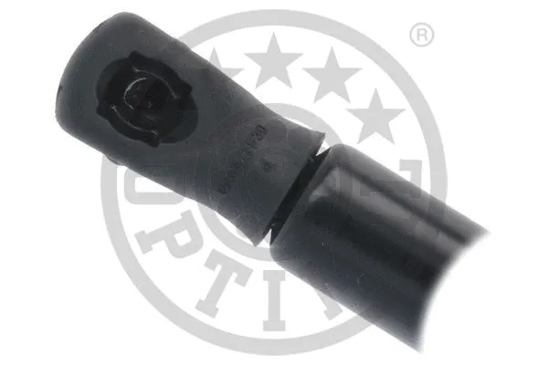 Gas Spring, boot/cargo area