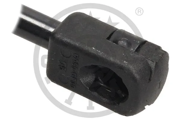 Gas Spring, boot/cargo area