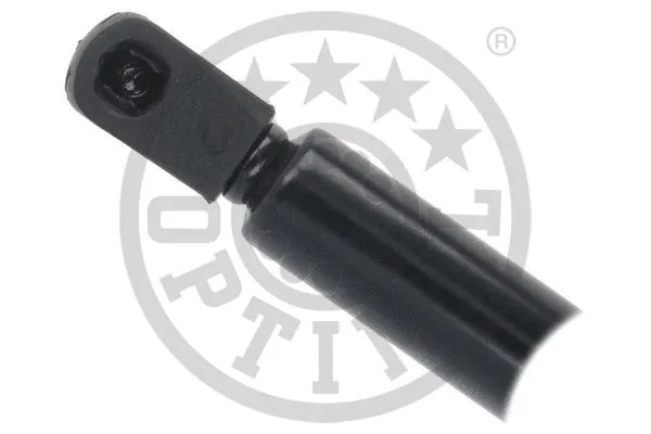 Gas Spring, boot/cargo area