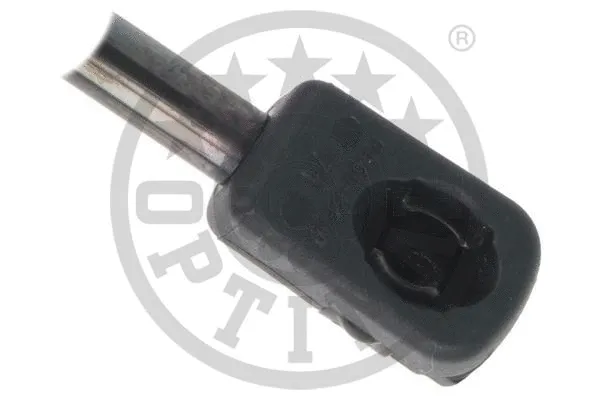 Gas Spring, boot/cargo area