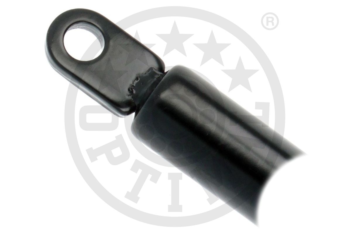 Gas Spring, boot/cargo area