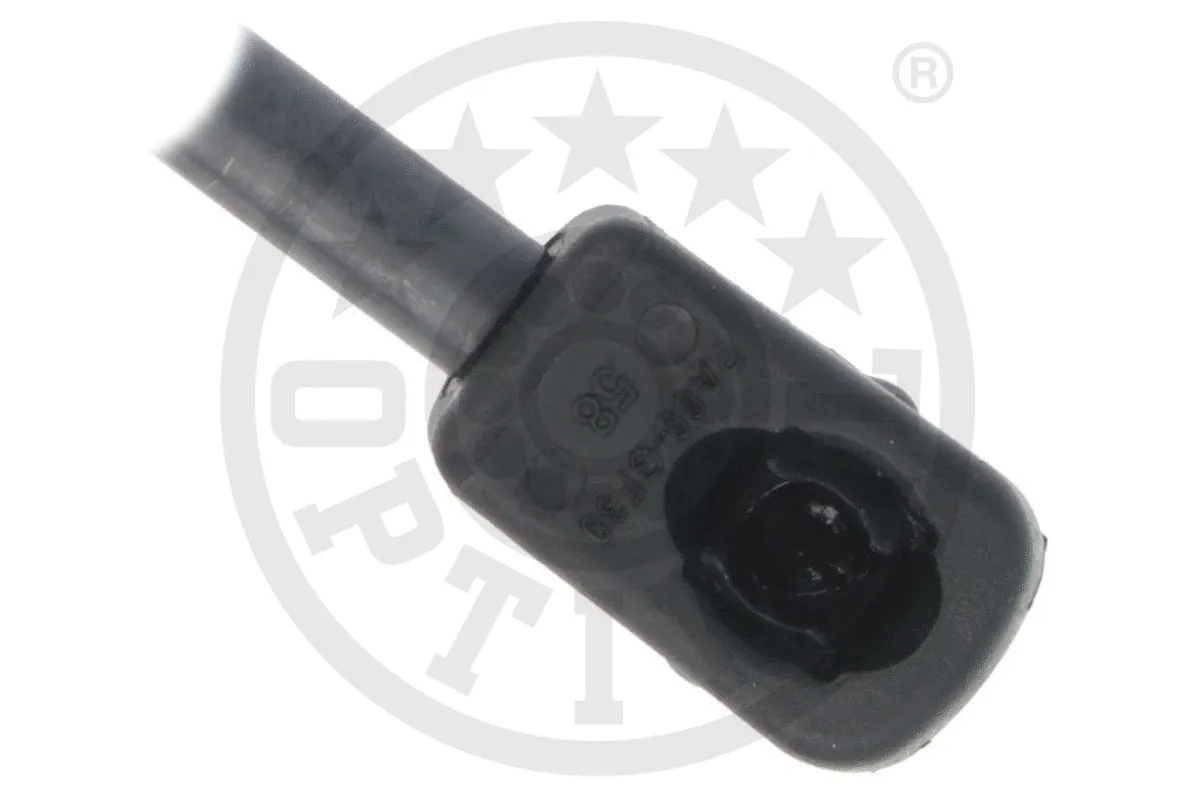 Gas Spring, boot/cargo area