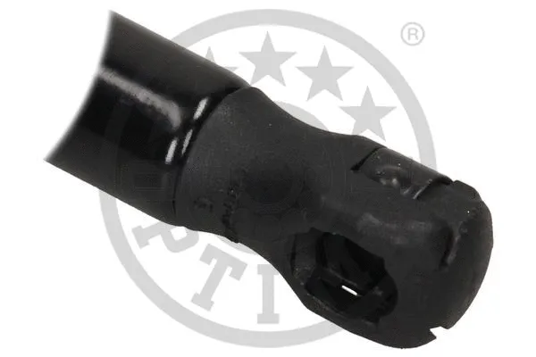 Gas Spring, boot/cargo area