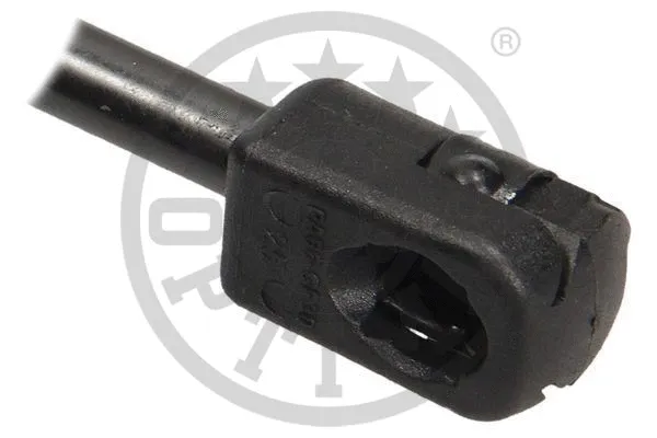 Gas Spring, boot/cargo area