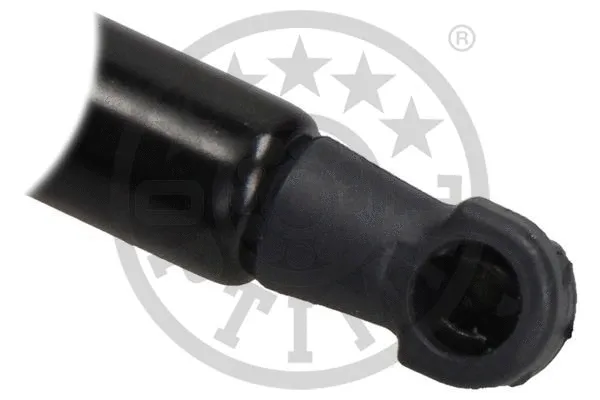 Gas Spring, boot/cargo area