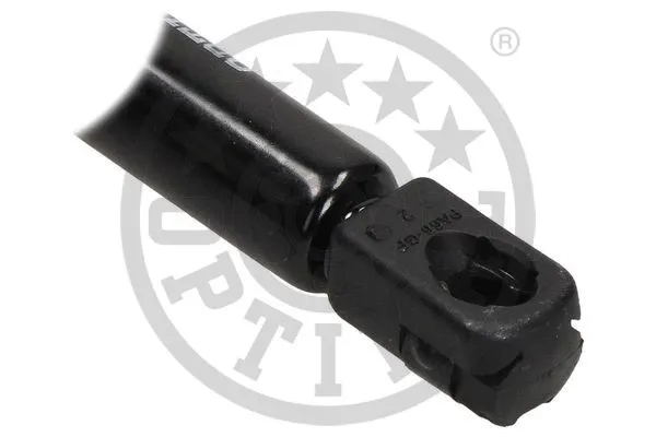 Gas Spring, boot/cargo area