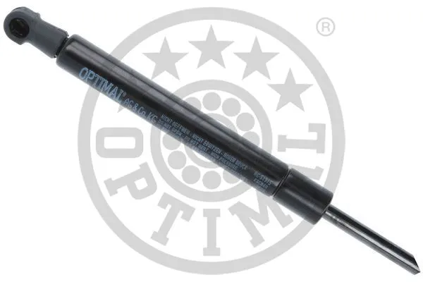 Gas Spring, boot/cargo area