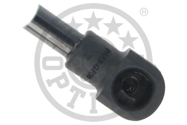 Gas Spring, boot/cargo area