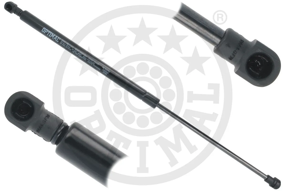 Gas Spring, boot/cargo area (AG-52290)