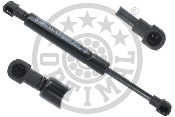 Gas Spring, boot/cargo area (AG-51921)