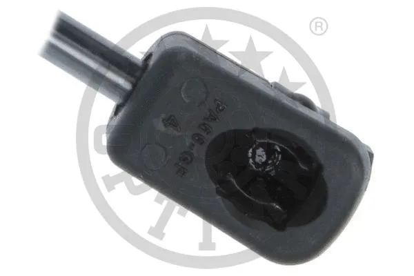 Gas Spring, boot/cargo area