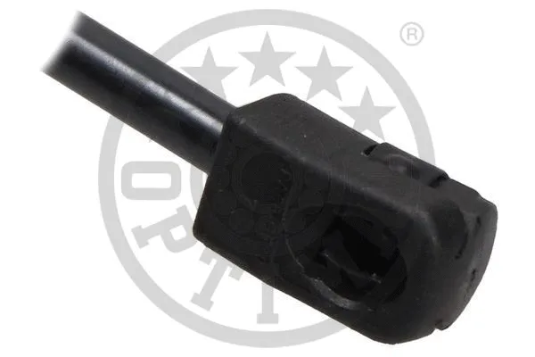 Gas Spring, boot/cargo area