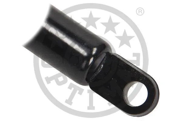 Gas Spring, bonnet