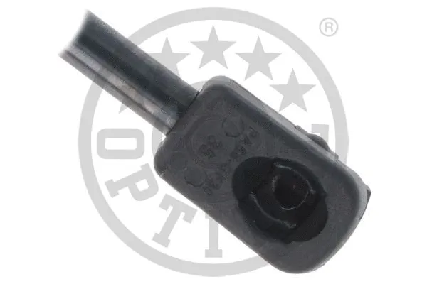 Gas Spring, boot/cargo area