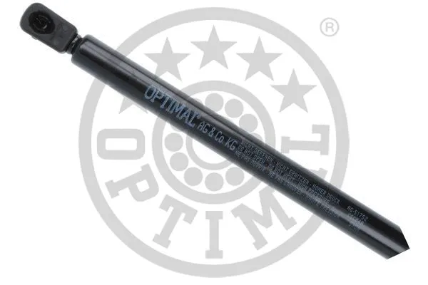 Gas Spring, boot/cargo area