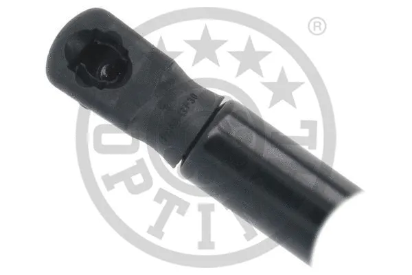 Gas Spring, boot/cargo area