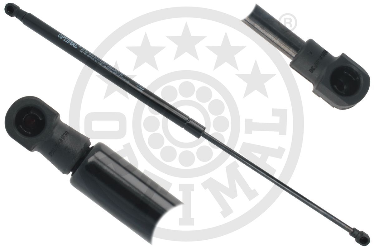 Gas Spring, rear window (AG-52307)