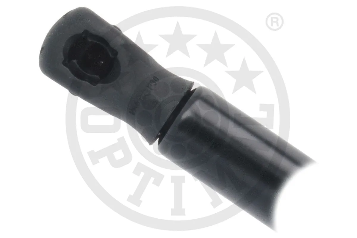 Gas Spring, boot/cargo area