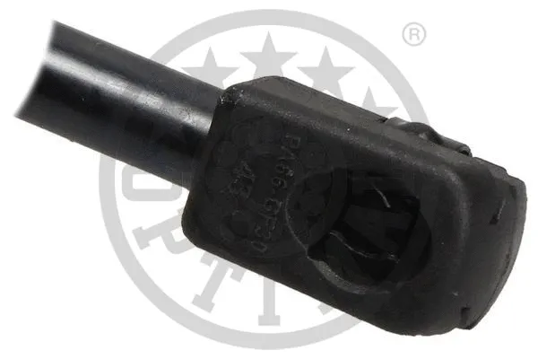 Gas Spring, boot/cargo area