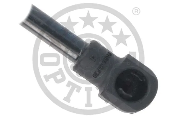 Gas Spring, boot/cargo area