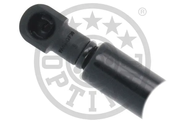 Gas Spring, boot/cargo area