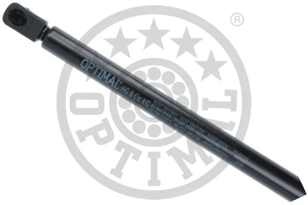 Gas Spring, boot/cargo area