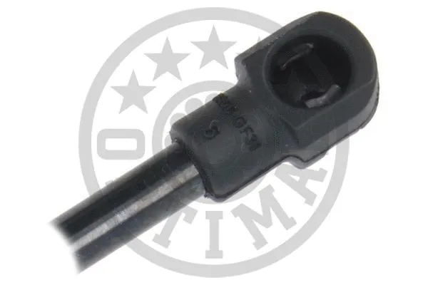 Gas Spring, boot/cargo area