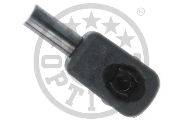 Gas Spring, boot/cargo area