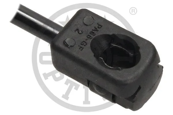 Gas Spring, boot/cargo area