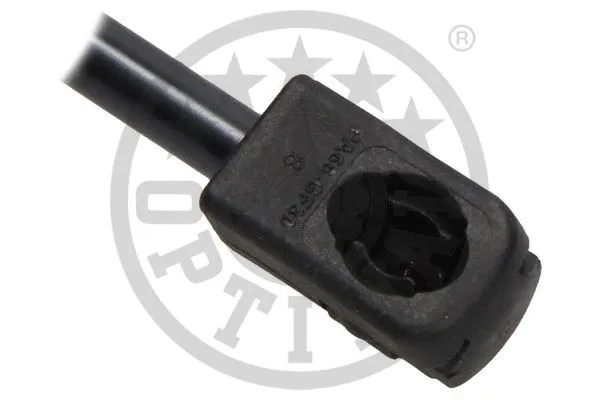 Gas Spring, boot/cargo area