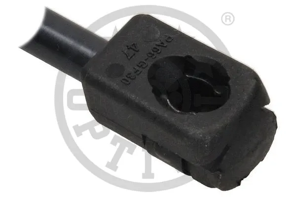 Gas Spring, boot/cargo area