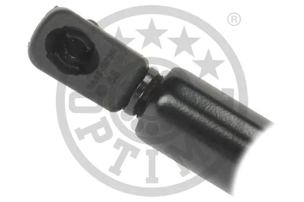 Gas Spring, boot/cargo area