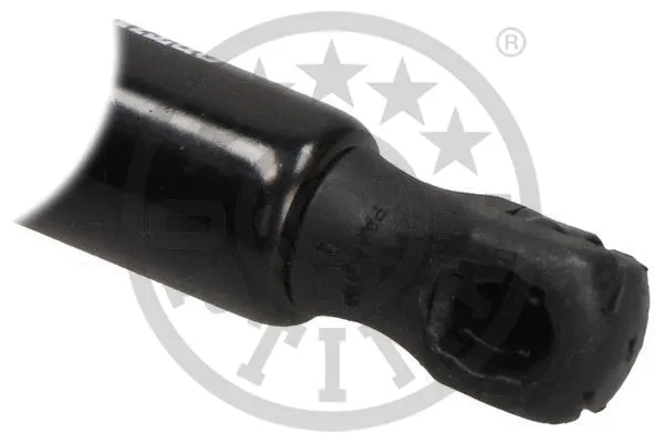 Gas Spring, boot/cargo area