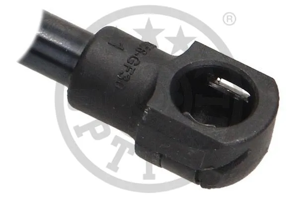 Gas Spring, boot/cargo area