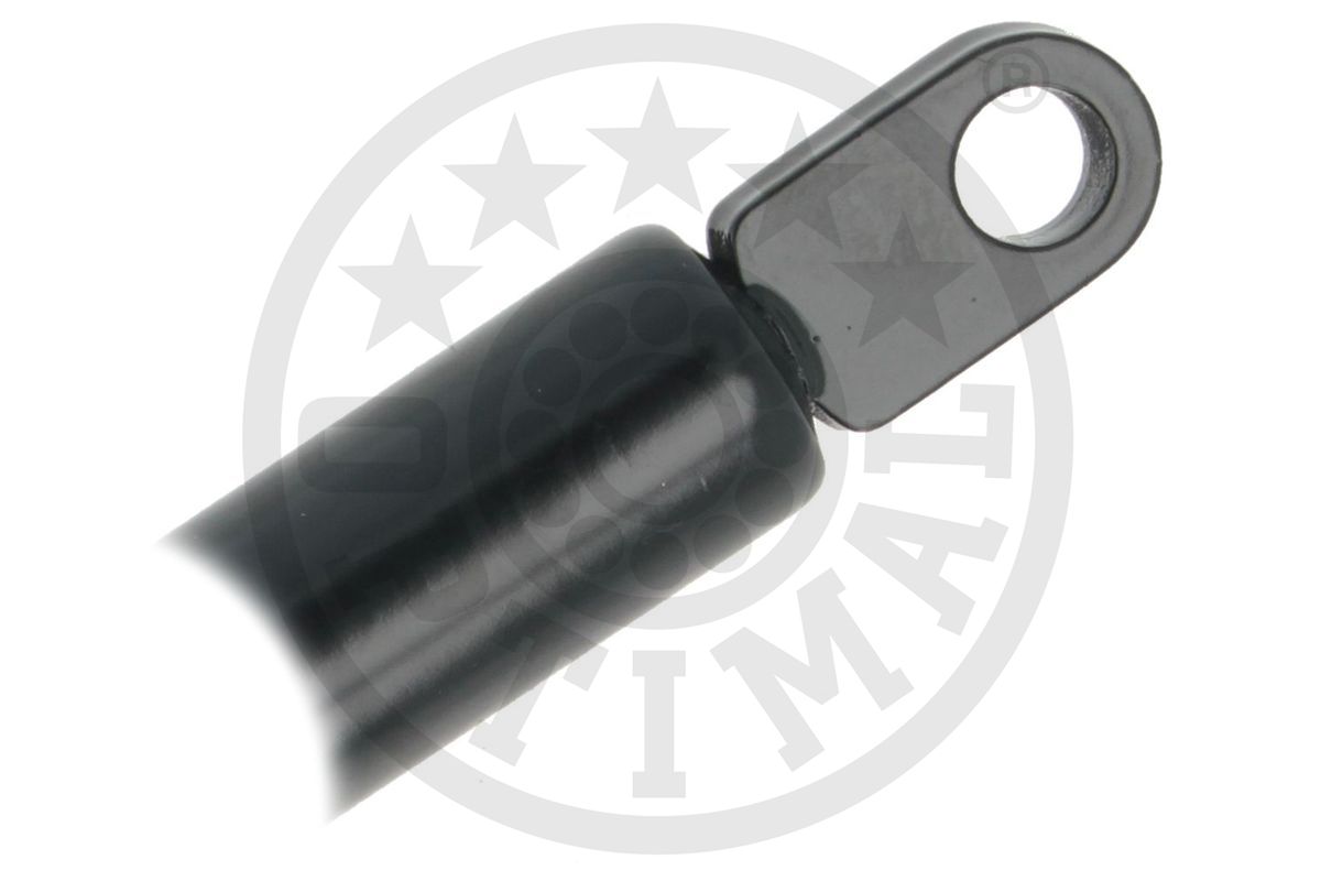 Gas Spring, boot/cargo area