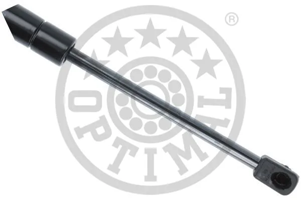 Gas Spring, boot/cargo area