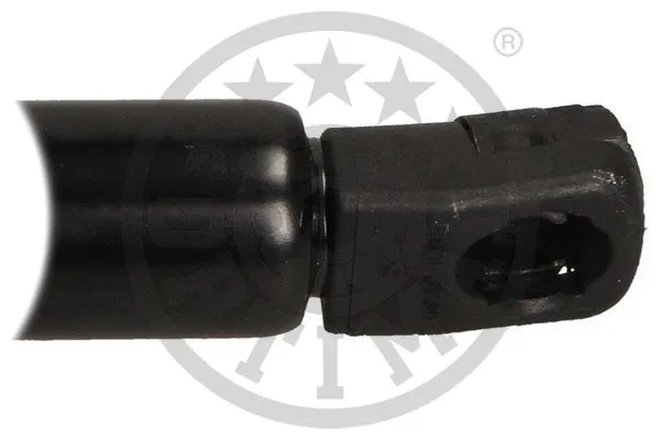 Gas Spring, boot/cargo area