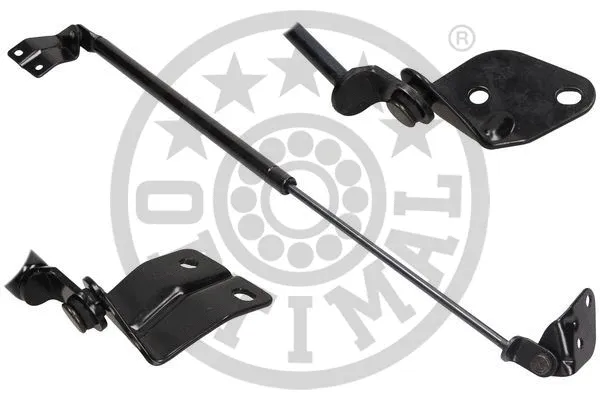 Gas Spring, boot/cargo area (AG-40696)